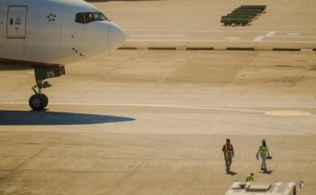 Highest Paying Airport Jobs Italy: Salaries for Ground Staff and Cabin Crew 2026